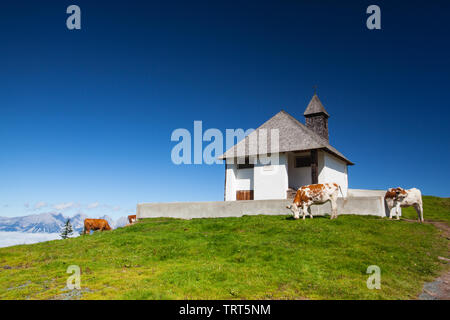 On the pasture in Tirol Alps, Austria. Small chapel in the high mountains. Stock Photo