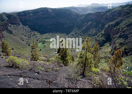The volcanic crater 1000 m in diameter and 200m deep - Caldera de Bandama, Gran Canaria, Spain Stock Photo