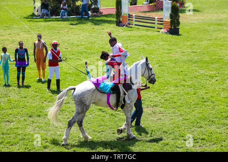 Johannesburg, South Africa - October 08 2011: Equestrian Show Jumping and Horse Riding display Stock Photo