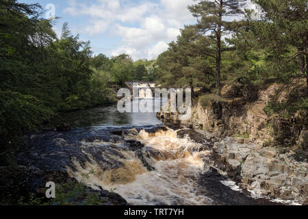 River Tees at Low Force Stock Photo