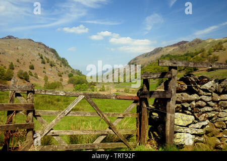Looking down Watendlath Beck from near the hamlet of Watendlath in the English Lake District. Stock Photo