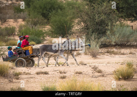donkey cart being driven by a local mixed race indigenous family in the Northern Cape close to Kgalagadi Transfrontier National Park Stock Photo