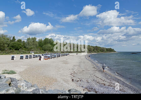 beach, Weisse Wiek, Boltenhagen, Mecklenburg-West Pomerania, Germany Stock Photo