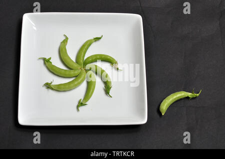 Seven Pea Pods arranged in a Spiral on a White Square Dinner Plate with One Pea Pod on the Outside all on a Black Background. Stock Photo