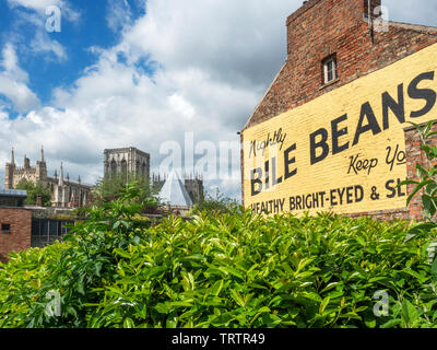 Old Bile Beans sign painted on a house on Lord Mayors Walk with York Minster beyond City of York Yorkshire England Stock Photo