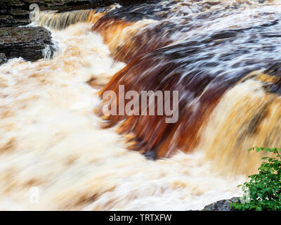 Peaty water in the River Ure at Lower Aysgarth Falls Wensleydale Yorkshire Dales North Yorkshire England Stock Photo