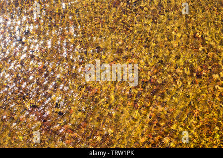 ochre yellow background reflections and ripples in the water Stock Photo