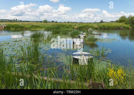 Barrier across the River Avon near Tewkesbury Mill in Tewkesbury, Gloucestershire,UK Stock Photo