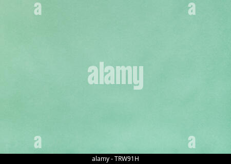 blank background from Dark Sea Green pastel paper Stock Photo