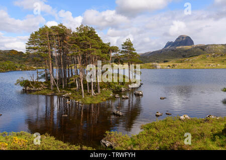 Scots pine trees and island on Loch Druim Suardalain with Suilven in the background, near Glencanisp Lodge, Assynt, Sutherland, Highlands, Scotland Stock Photo