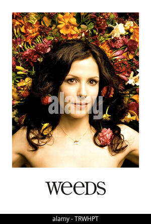 A3 ART PRINT POSTER GZ5565 4 WEEDS MARY LOUISE PARKER 