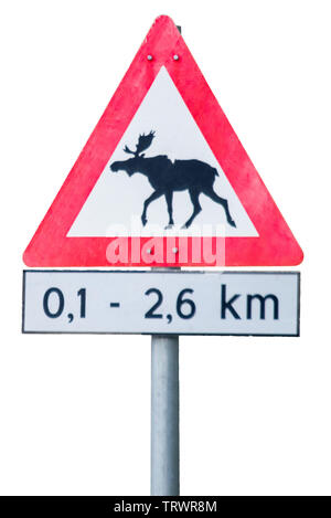 Cut out Warning sign Moose in Norway / Scandinavia Stock Photo