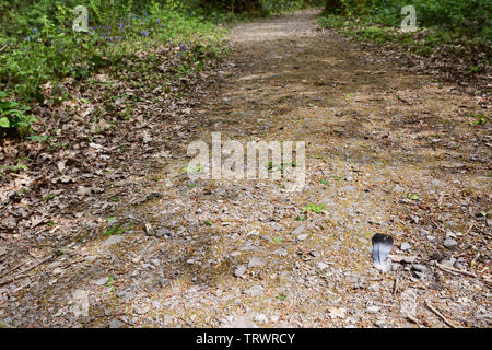 Wood pigeon feather lies on a wide stony path leading through woodland - with copy space Stock Photo