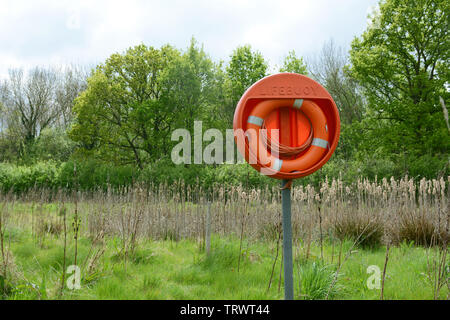 Bright orange lifebuoy on a pole near a deep pond filled with bulrushes. Lush green trees stand beyond the water. Stock Photo