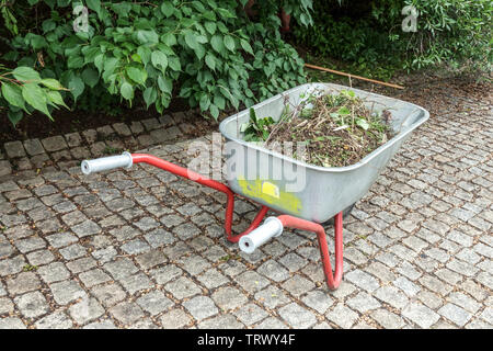 Garden wheelbarrow, Garden maintenance Stock Photo