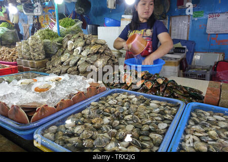 The seafood market is abundant with a variety of shellfish: oysters, scallops, mussels, clams and others, They are sold by the kilo. Stock Photo