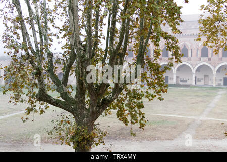 Pavia, Italy. November 11 2017. Castello Visconteo (Visconteo castle) on a foggy day. Stock Photo