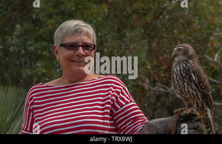 Tourist holding barking owl at Raptor Domain Stock Photo
