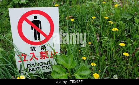 Translation: 'Danger. Do not enter.' in Japanese. A do not enter sign erected at a lawn area full with yellow dandelion flowers. Stock Photo