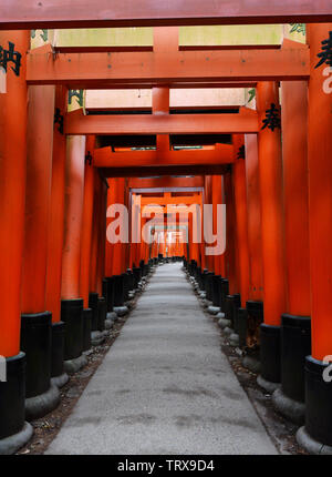 Red Tori Gate at Fushimi Inari Shrine in Kyoto, Japan. Stock Photo