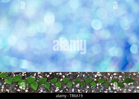 green leaves of  Mexican daisy nature border and blue bokeh terrazzo floor background Stock Photo
