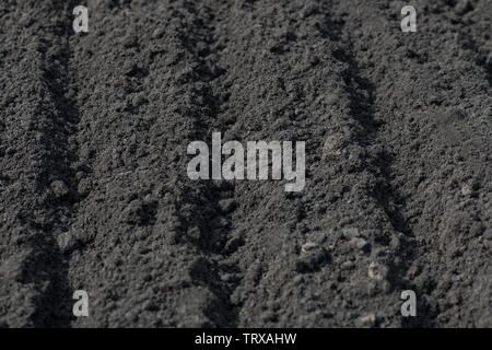 Empty furrows on black ground in a farm field in early spring. Preparation of soil for planting seeds. Horizontal photography Stock Photo