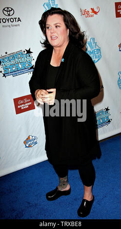 New York, USA. 13 April, 2008. Rosie O'Donnell at Comedy Central's Night of Too Many Stars hosted by Jon Stewart at The Beacon Theater. Credit: Steve Mack/Alamy Stock Photo