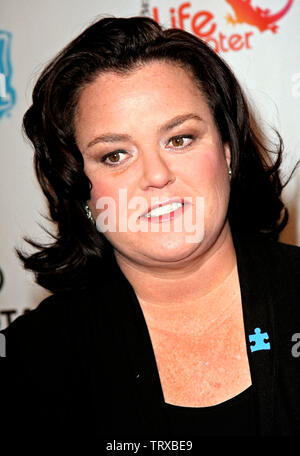 New York, USA. 13 April, 2008. Rosie O'Donnell at Comedy Central's Night of Too Many Stars hosted by Jon Stewart at The Beacon Theater. Credit: Steve Mack/Alamy Stock Photo