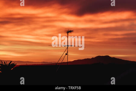 Early Morning Sunrise in Takapuna, Auckland, New Zealand Stock Photo