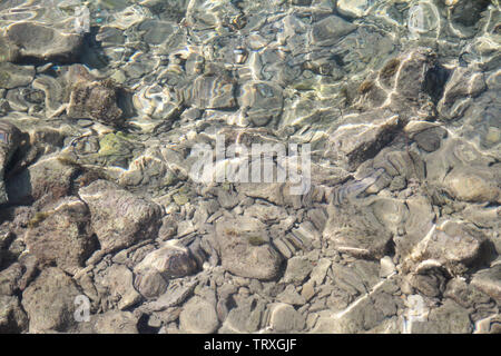 Background water, surface of sea on rocks, close up. Reflection of sun beams in water and shallow soil, shoal of ocean. Top view of coral reef. Stock Photo