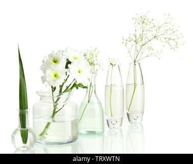 Plants in various glass containers isolated on white Stock Photo