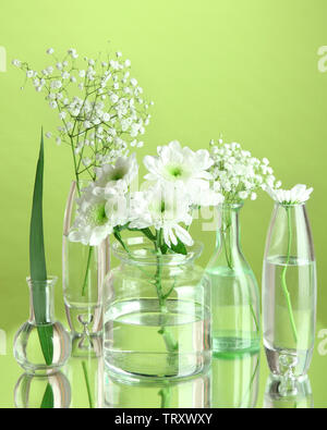 Plants in various glass containers on green background Stock Photo