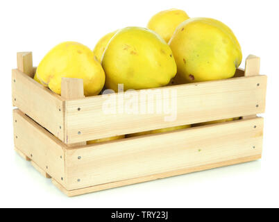 Sweet quinces in wooden box isolated on white Stock Photo