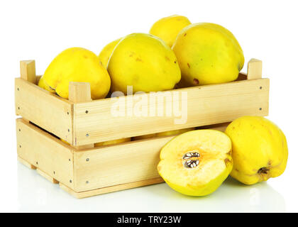 Sweet quinces in wooden box isolated on white Stock Photo