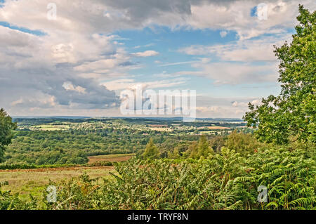 Ashdown Forest (East Sussex, England): View from south Stock Photo