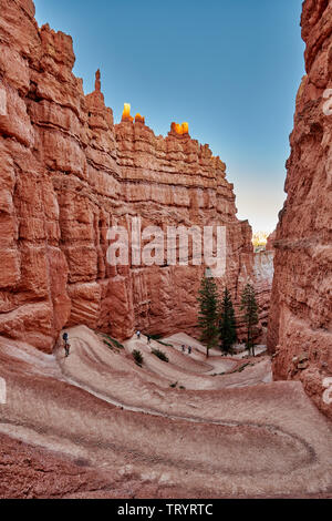 Bryce Canyon National Park, Navajo Loop trail, Utah, USA, North America Stock Photo