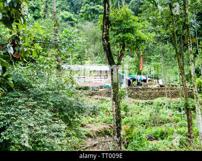 Rocky Island village, Jhalong Camp, Suntalekhola (Samsing), Kalimpong, West Bengal, India Located near Neora Valley national park popular for nature w Stock Photo