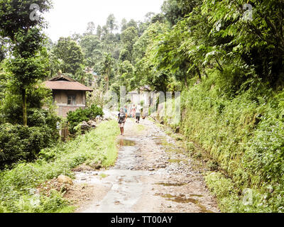 Jhalong Camp area, Suntalekhola (Samsing), Kalimpong, West Bengal, India Located near Neora Valley national park popular for tourist for nature walk, Stock Photo