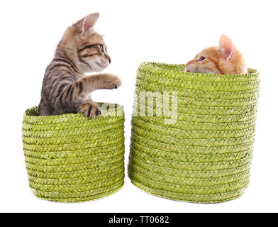 Little kittens in wicker baskets isolated on white Stock Photo