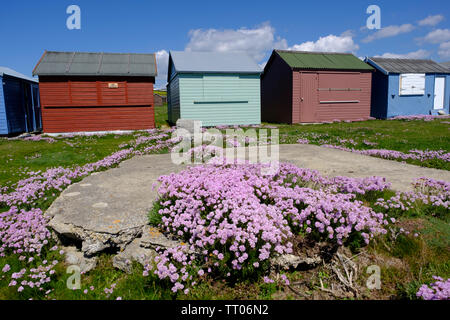 Huts at Portland Bill, Dorset Stock Photo