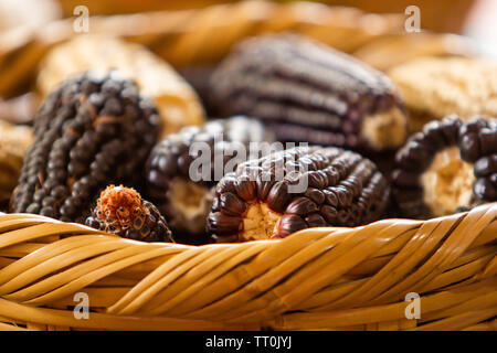 a handmade mexican basket with different variety of corns, blue corn Stock Photo