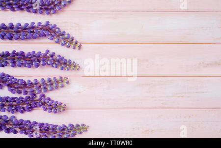 lupine on pink wooden background Stock Photo