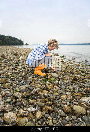 Beautiful, active, healthy middle aged mature woman enjoying exploring nature beachcombing on a rocky beach Stock Photo