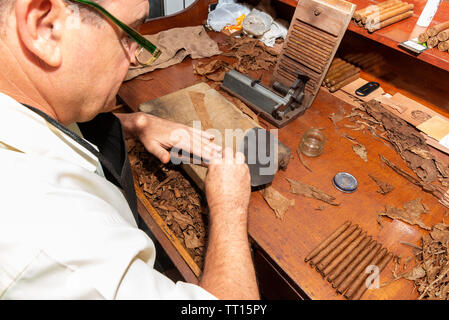 Cigar roller or torcedero making cigars in the town of Vinales, Pinar Del Rio Province, Cuba, Caribbean Stock Photo