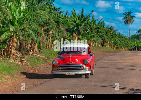 Classic Cuban car driving past a banana plantation on the road from Vinales to Palma Rubia (Cayo Levisa) Pinar del Rio Province, Cuba