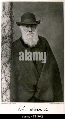CHARLES DARWIN (1809-1882) English naturalist Stock Photo