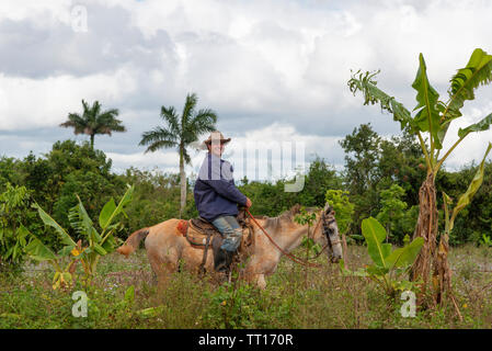 Farmer (guajiro) takes an evening ride round his estate in the Vinales Valley, Vinales, Cuba, Caribbean Stock Photo
