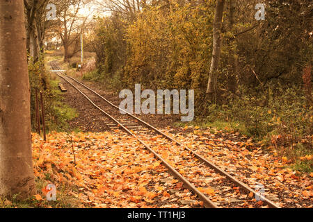 Leaves on the line of the Leighton Buzzard steam railway Stock Photo