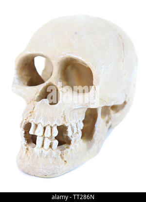 Skull isolated on white Stock Photo