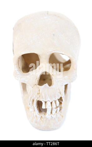 Skull isolated on white Stock Photo